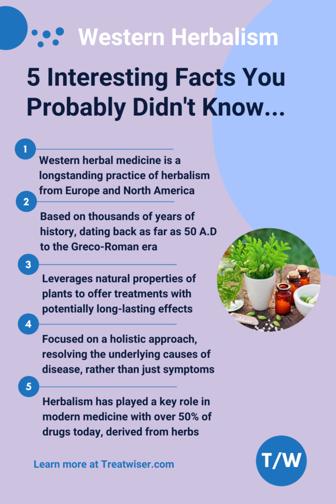 5 Interesting Facts About Western Herbal Medicine