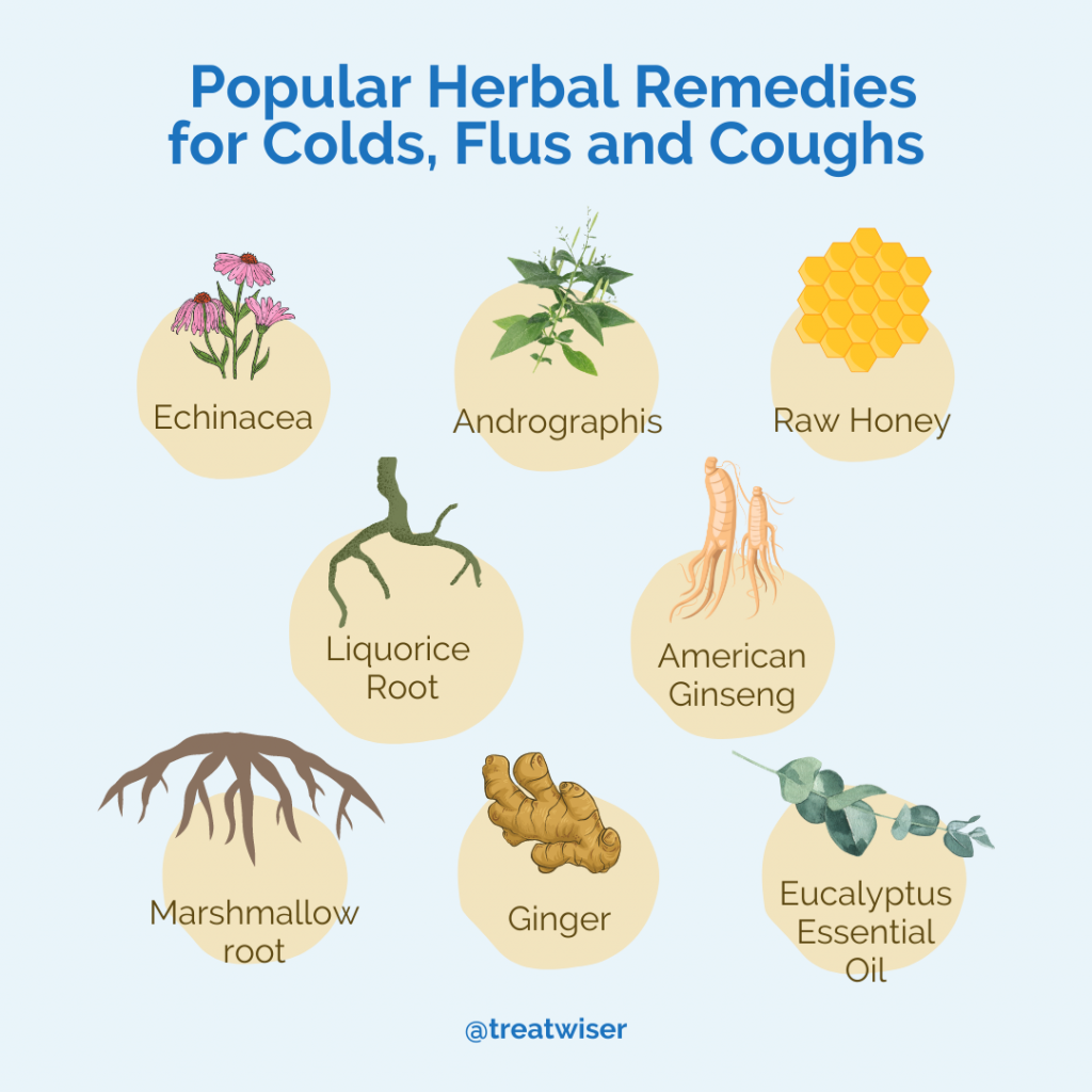 Popular Herbal Remedies For Colds, Flus and Coughs