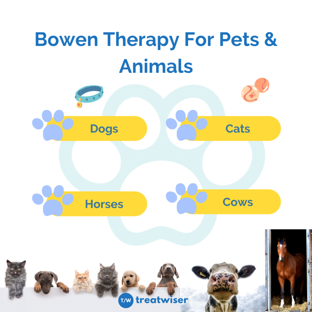 Bowen Therapy For Pets And Animals