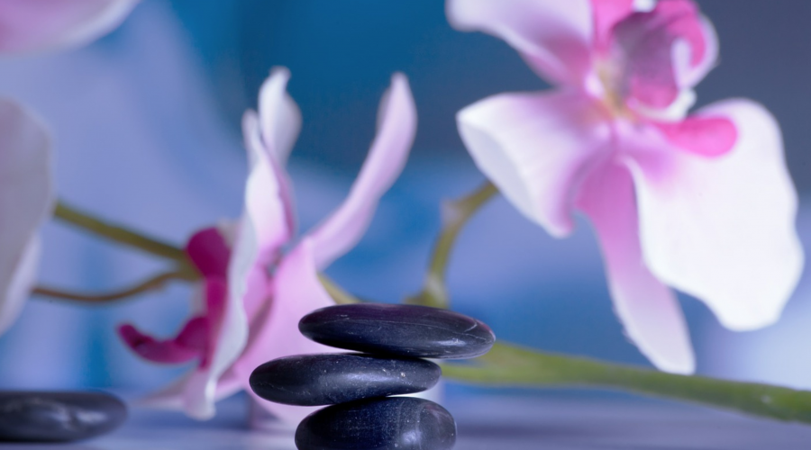 8 Things You Didn’t Know About Shen Tao Massage (Including What It Is)