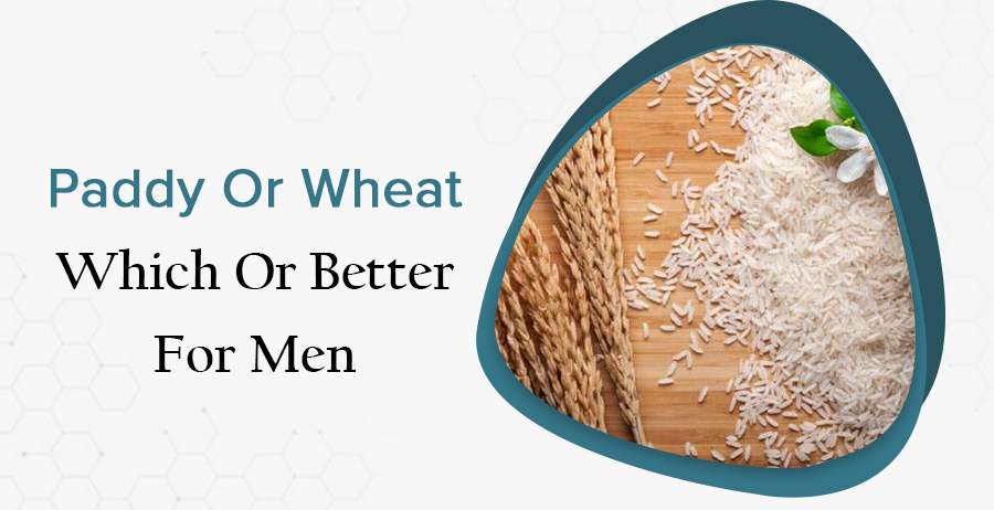 Paddy or wheat banner